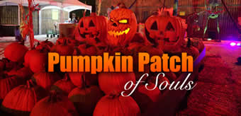 Selling Pumpkins, Cornstalks, Hay Bales, and more