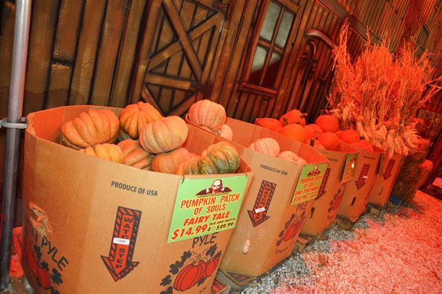 Pumpkin Patch at Terror Dome